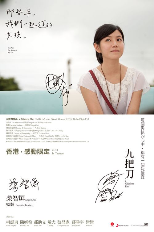 国外留学经历政治审核表